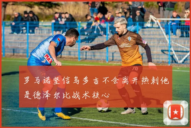 罗马诺坚信乌多吉不会离开热刺他是德泽尔比战术核心