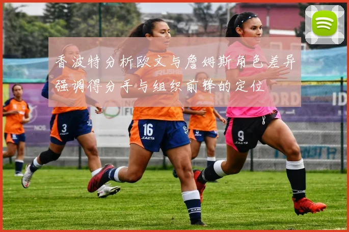 香波特分析欧文与詹姆斯角色差异强调得分手与组织前锋的定位